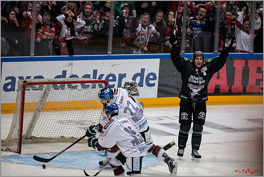 DEL, Koelner Haie - Augsburger Panther, 13.01.2017